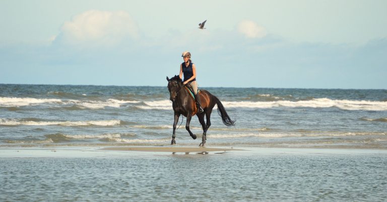 Reiter und Pferd am Strand von Langeoog
