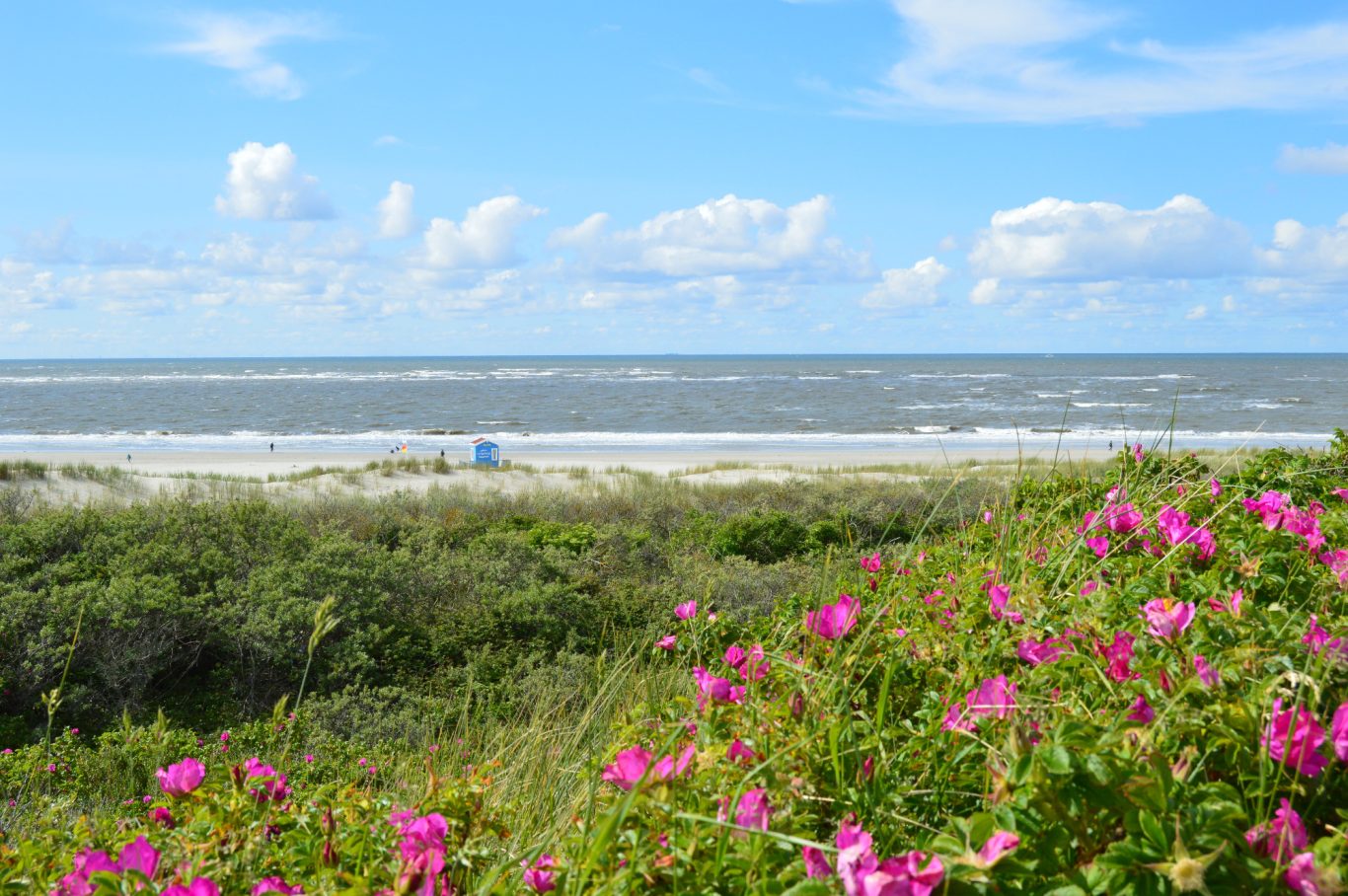 Der Rettungsturm am Hauptbad wartet auf die ersten Gäste der neuen Saison ... Der Rettungsturm am Hauptbad wartet auf die ersten Gäste der neuen Saison ...