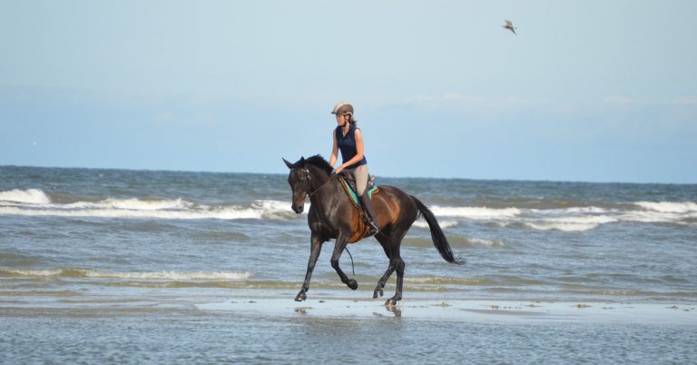 Reiter und Pferd am Strand von Langeoog