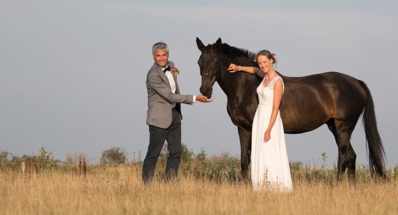 Hochzeitspaar mit Pferd auf den Langeooger Wiesen. Fotoshooting