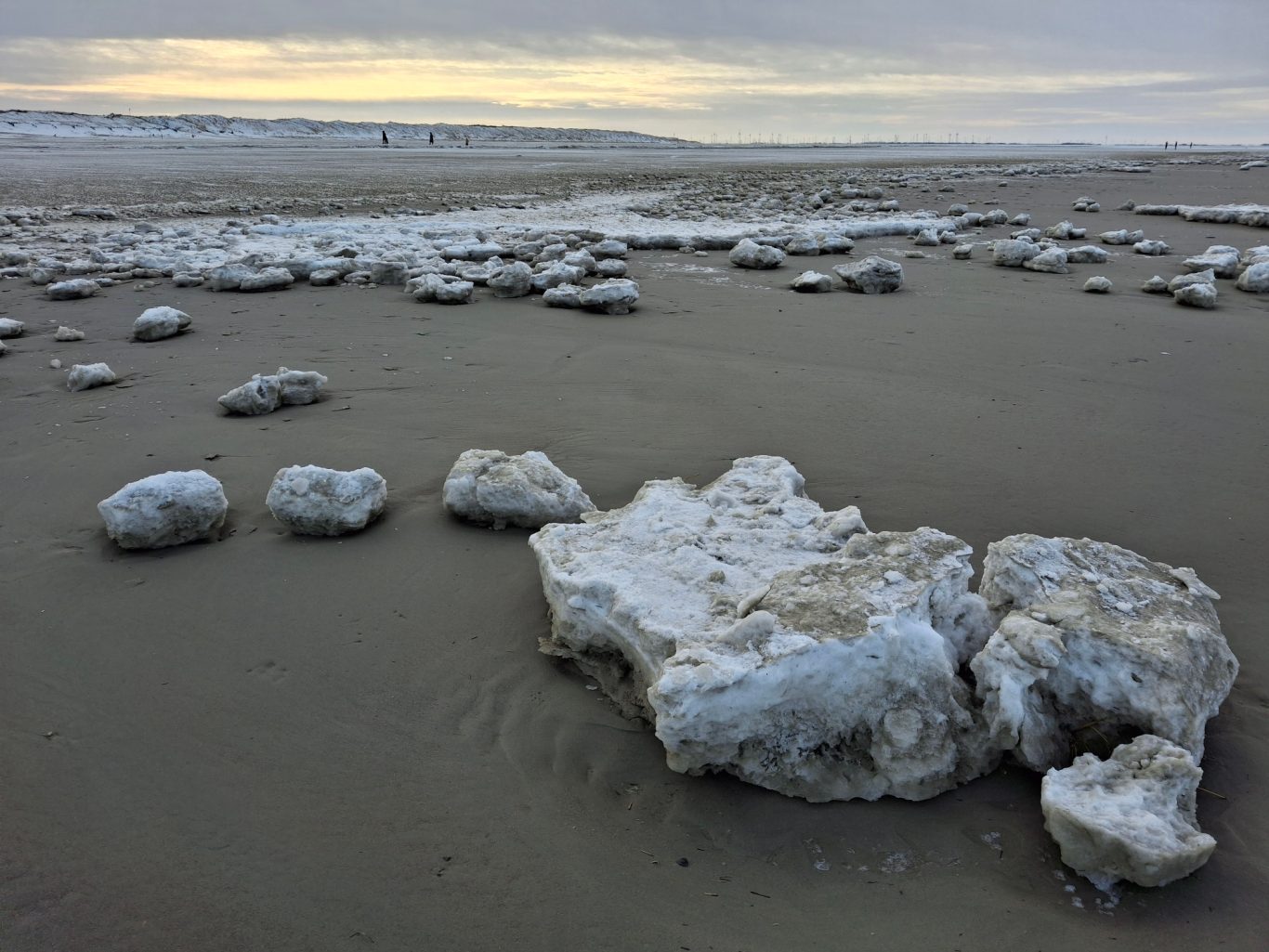 .... und jeden Tag werden sie ein bißchen größer .... und jeden Tag werden sie ein bißchen größer