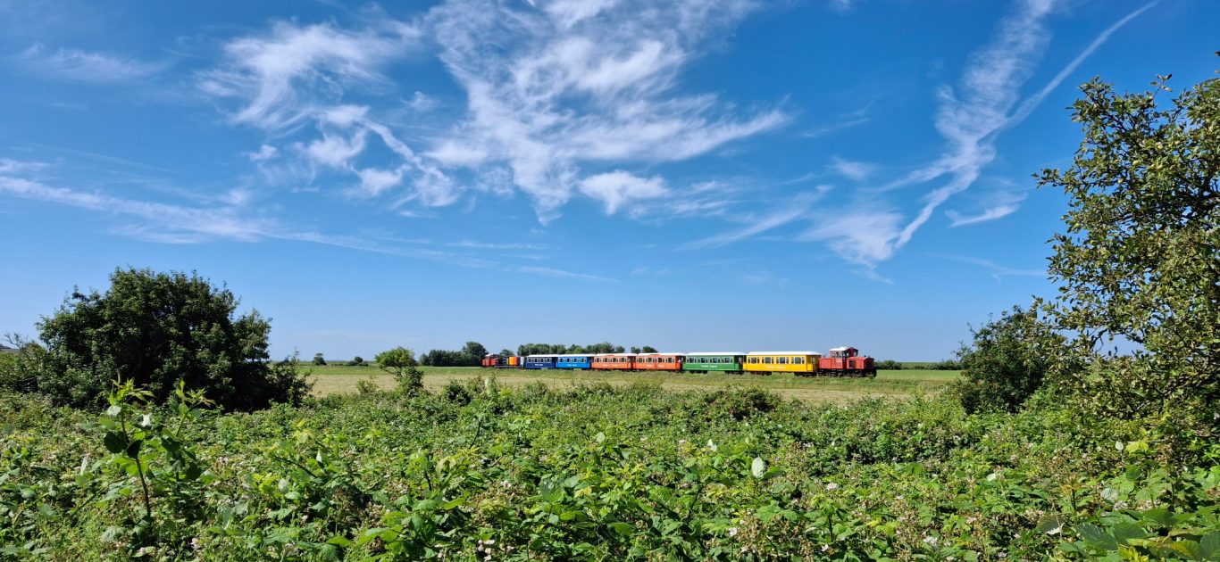 Die bunte Inselbahn auf dem Weg zum Anleger. Immer wieder ein Hingucker Die bunte Inselbahn auf dem Weg zum Anleger. Immer wieder ein Hingucker