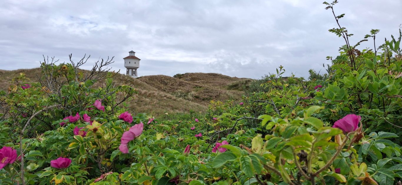 Wahrscheinlich das beliebteste Fotomotiv der Insel. Der Wassertum und die Dünen Wahrscheinlich das beliebteste Fotomotiv der Insel. Der Wassertum und die Dünen
