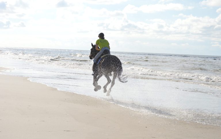 Reiter im Galopp am Strand von Langeoog. Die Gischt spritzt und die Sonne scheint.